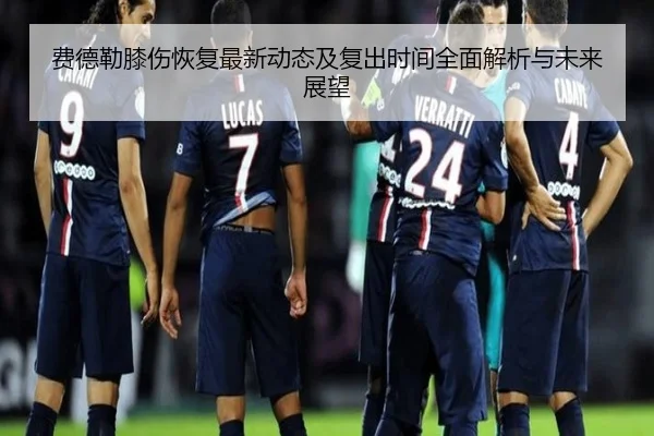 费德勒膝伤恢复最新动态及复出时间全面解析与未来展望
